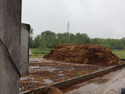 Lunine bukve Lunine bukve