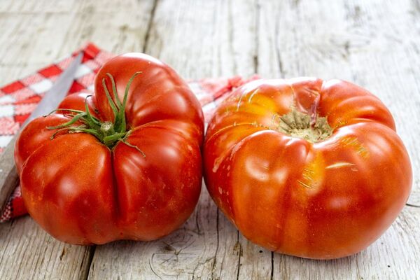 foto: Shutterstock